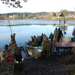 Výlov Hříběcí 19.10.2013